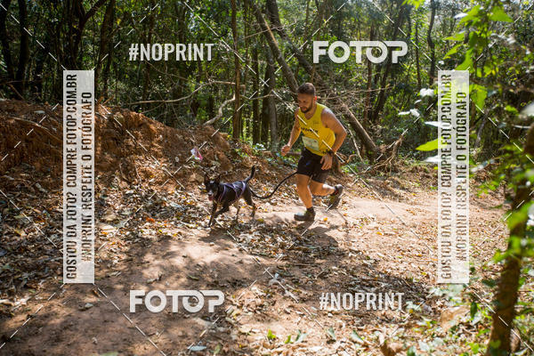 Compre as suas fotos do eventoTreino Premiado de Canicross no Fotop