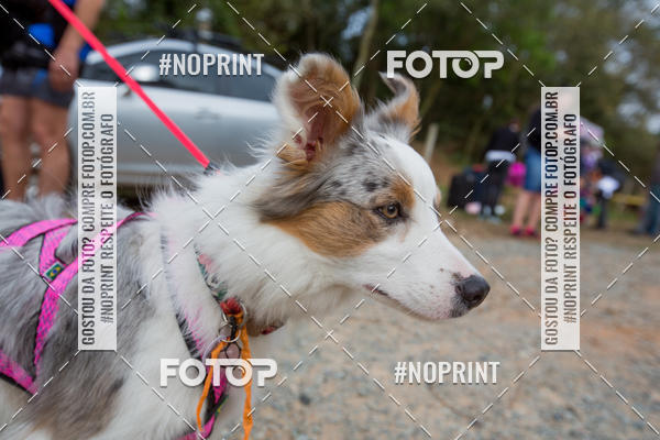 Compra tus fotos del eventoTreino Premiado de Canicross En Fotop