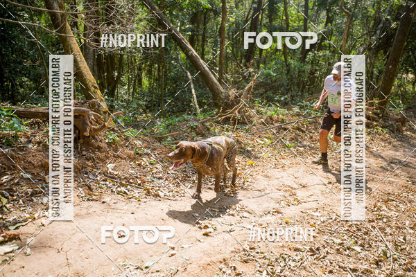 Compre as suas fotos do eventoTreino Premiado de Canicross no Fotop