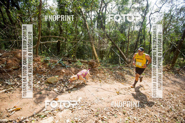 Compre as suas fotos do eventoTreino Premiado de Canicross no Fotop