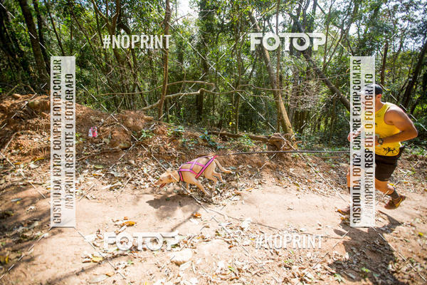 Compre as suas fotos do eventoTreino Premiado de Canicross no Fotop