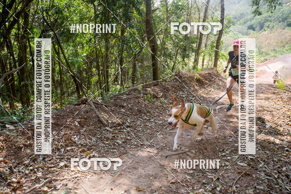 Compre as suas fotos do eventoTreino Premiado de Canicross no Fotop