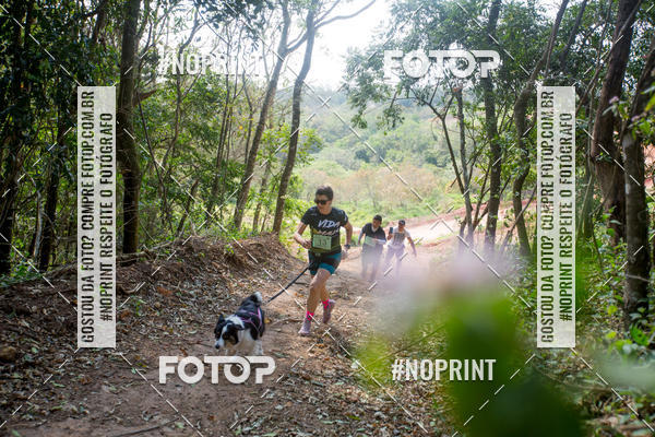 Compre as suas fotos do eventoTreino Premiado de Canicross no Fotop