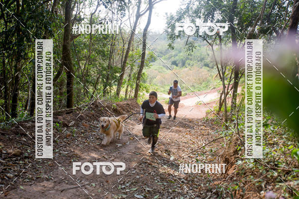 Compre as suas fotos do eventoTreino Premiado de Canicross no Fotop