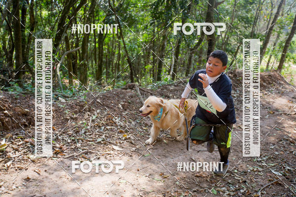 Compre as suas fotos do eventoTreino Premiado de Canicross no Fotop