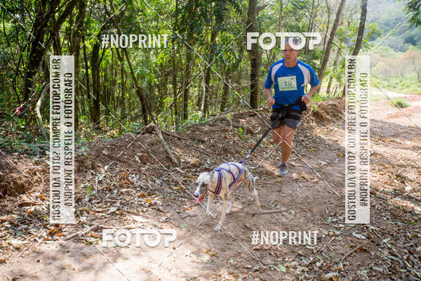 Compre as suas fotos do eventoTreino Premiado de Canicross no Fotop