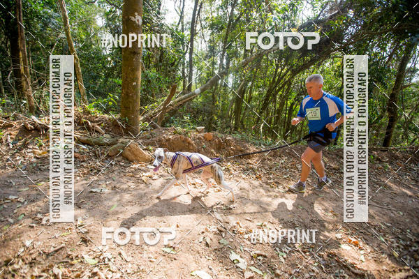 Compre as suas fotos do eventoTreino Premiado de Canicross no Fotop