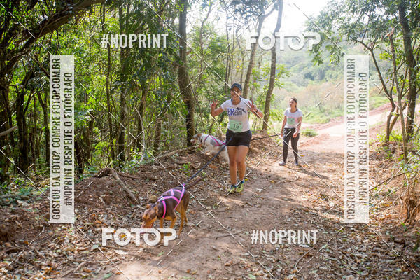 Compre as suas fotos do eventoTreino Premiado de Canicross no Fotop