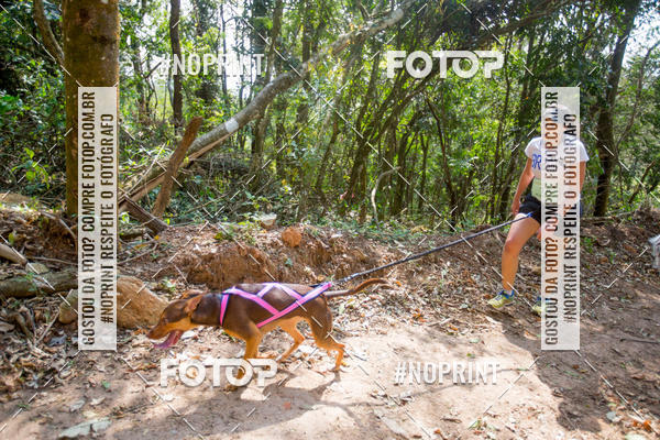 Compre as suas fotos do eventoTreino Premiado de Canicross no Fotop