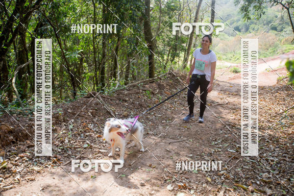 Compre as suas fotos do eventoTreino Premiado de Canicross no Fotop