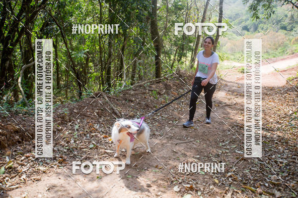 Compre as suas fotos do eventoTreino Premiado de Canicross no Fotop