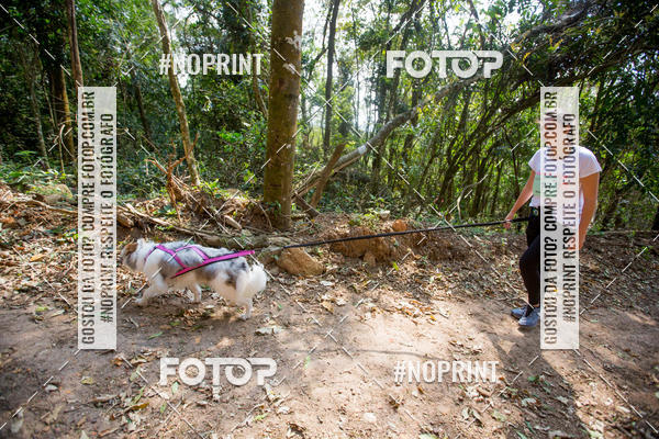 Compre as suas fotos do eventoTreino Premiado de Canicross no Fotop