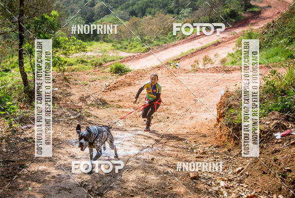 Compre as suas fotos do eventoTreino Premiado de Canicross no Fotop