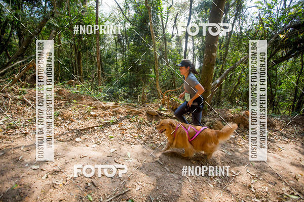 Compre as suas fotos do eventoTreino Premiado de Canicross no Fotop