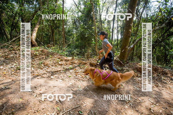 Compre as suas fotos do eventoTreino Premiado de Canicross no Fotop