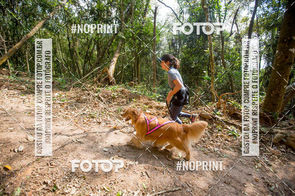 Compre as suas fotos do eventoTreino Premiado de Canicross no Fotop