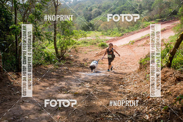 Compre as suas fotos do eventoTreino Premiado de Canicross no Fotop