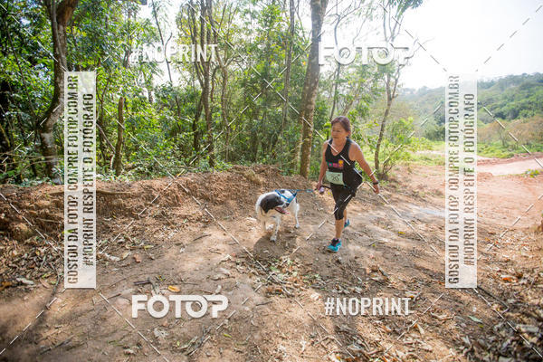 Buy your photos of the eventTreino Premiado de Canicross on Fotop