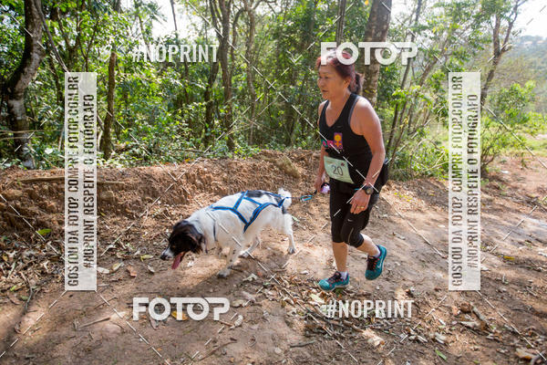 Buy your photos of the eventTreino Premiado de Canicross on Fotop