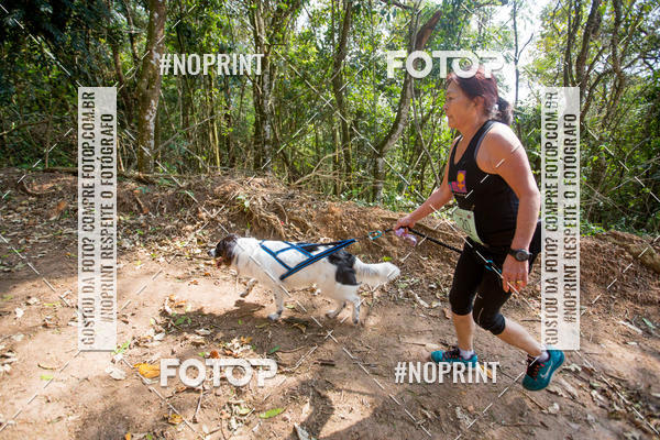 Buy your photos of the eventTreino Premiado de Canicross on Fotop