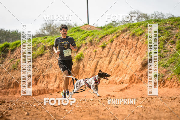 Compra tus fotos del eventoTreino Premiado de Canicross En Fotop