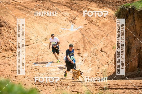 Compra tus fotos del eventoTreino Premiado de Canicross En Fotop