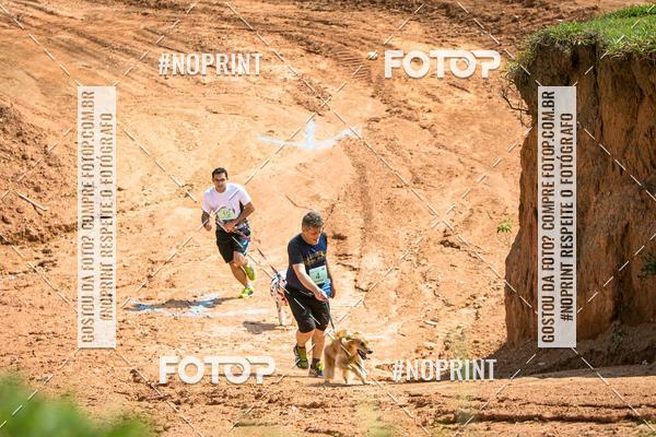 Compra tus fotos del eventoTreino Premiado de Canicross En Fotop