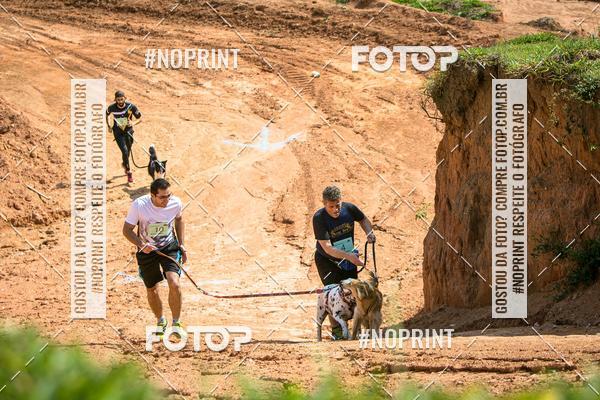 Compra tus fotos del eventoTreino Premiado de Canicross En Fotop