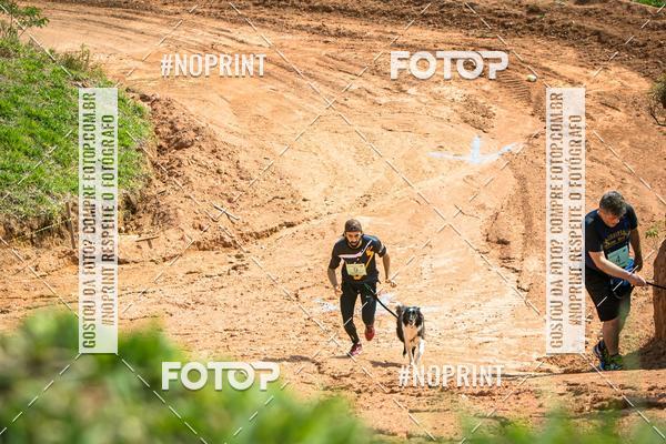 Compra tus fotos del eventoTreino Premiado de Canicross En Fotop