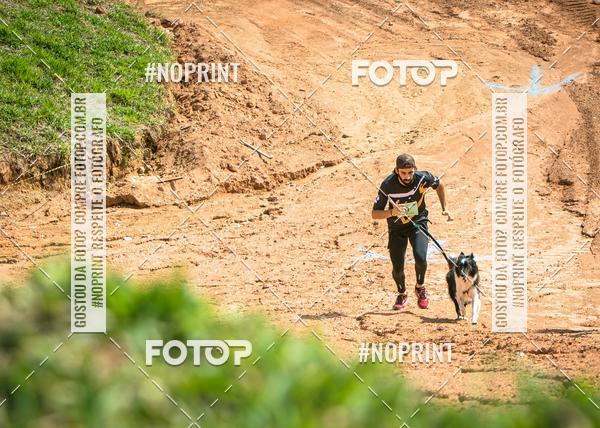 Compra tus fotos del eventoTreino Premiado de Canicross En Fotop