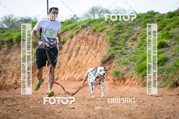 Achetez vos photos de l'vnementTreino Premiado de Canicross sur Fotop
