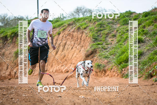 Achetez vos photos de l'vnementTreino Premiado de Canicross sur Fotop