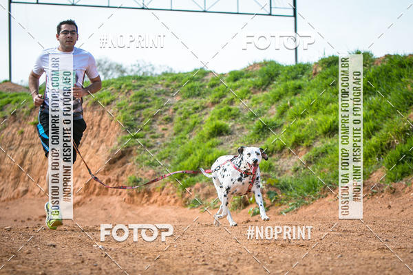 Achetez vos photos de l'vnementTreino Premiado de Canicross sur Fotop