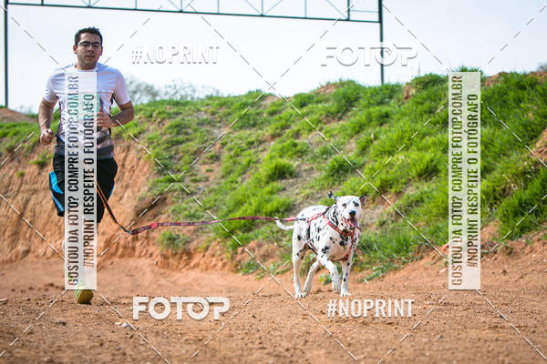 Achetez vos photos de l'vnementTreino Premiado de Canicross sur Fotop