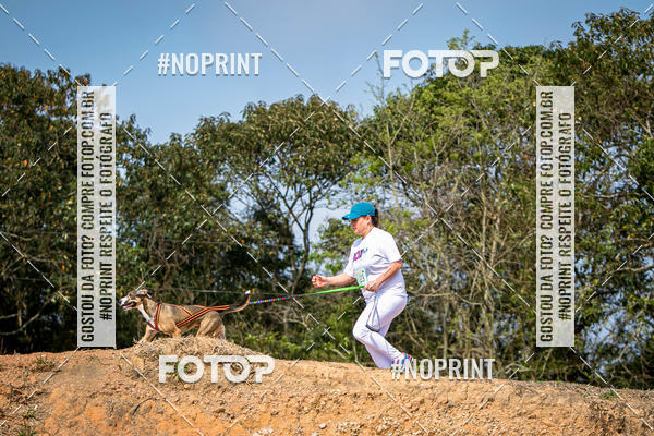 Achetez vos photos de l'vnementTreino Premiado de Canicross sur Fotop