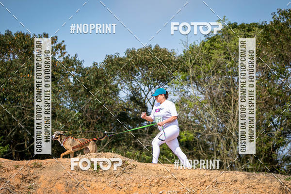 Achetez vos photos de l'vnementTreino Premiado de Canicross sur Fotop