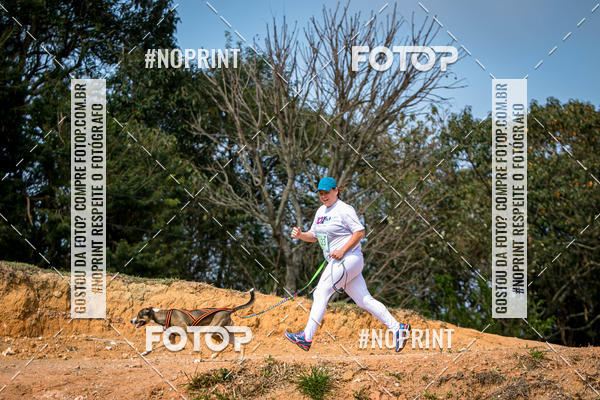 Achetez vos photos de l'vnementTreino Premiado de Canicross sur Fotop