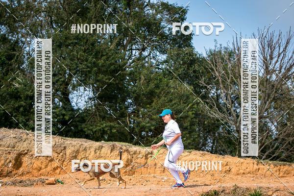 Achetez vos photos de l'vnementTreino Premiado de Canicross sur Fotop