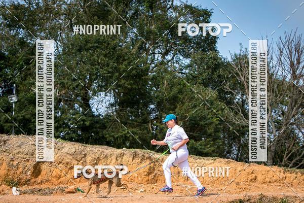 Achetez vos photos de l'vnementTreino Premiado de Canicross sur Fotop