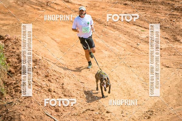 Achetez vos photos de l'vnementTreino Premiado de Canicross sur Fotop