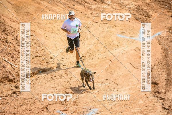 Achetez vos photos de l'vnementTreino Premiado de Canicross sur Fotop
