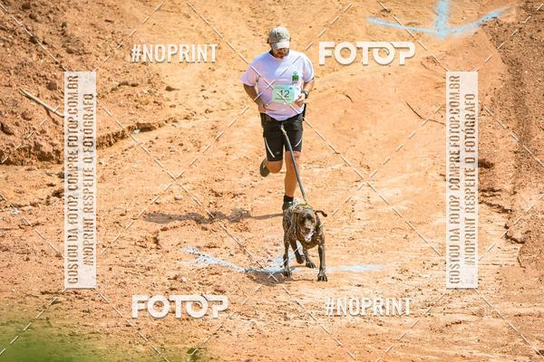 Achetez vos photos de l'vnementTreino Premiado de Canicross sur Fotop