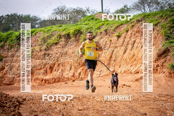 Achetez vos photos de l'vnementTreino Premiado de Canicross sur Fotop