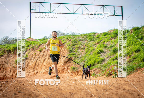 Achetez vos photos de l'vnementTreino Premiado de Canicross sur Fotop