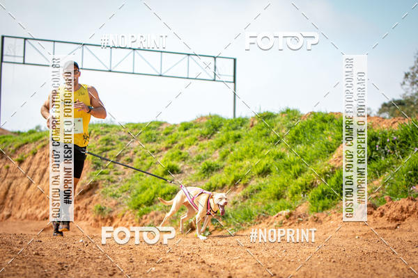 Compra tus fotos del eventoTreino Premiado de Canicross En Fotop