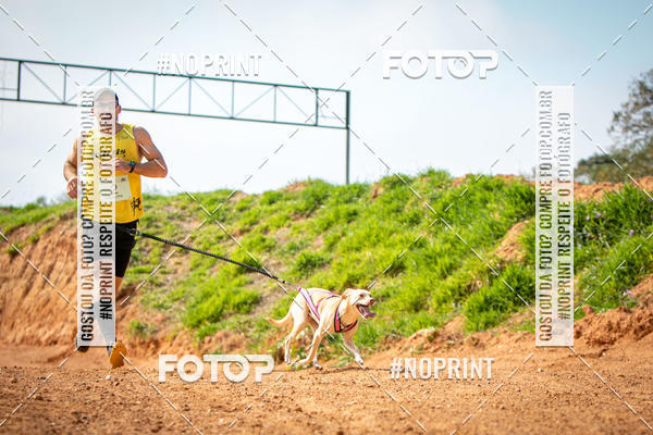 Compra tus fotos del eventoTreino Premiado de Canicross En Fotop