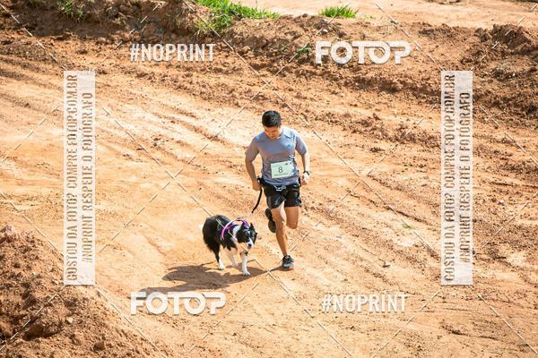 Compra tus fotos del eventoTreino Premiado de Canicross En Fotop