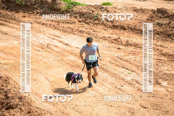 Compra tus fotos del eventoTreino Premiado de Canicross En Fotop