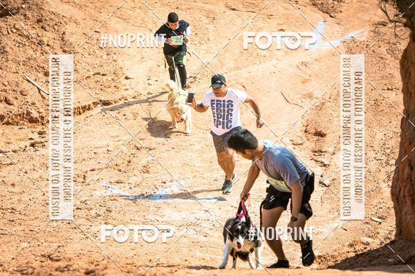 Compra tus fotos del eventoTreino Premiado de Canicross En Fotop