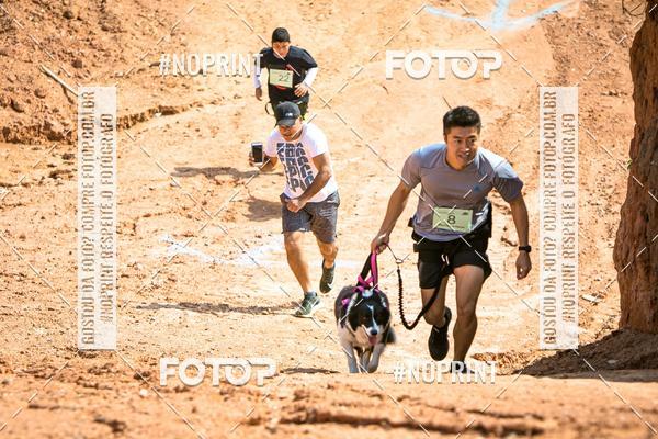 Compra tus fotos del eventoTreino Premiado de Canicross En Fotop